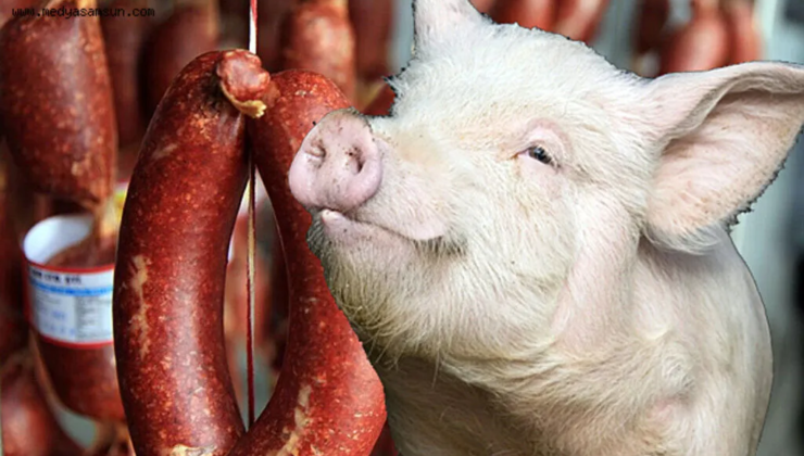 İskele’de kontrol için durdurulan araçtan Peynir ve Domuz Eti Çıktı