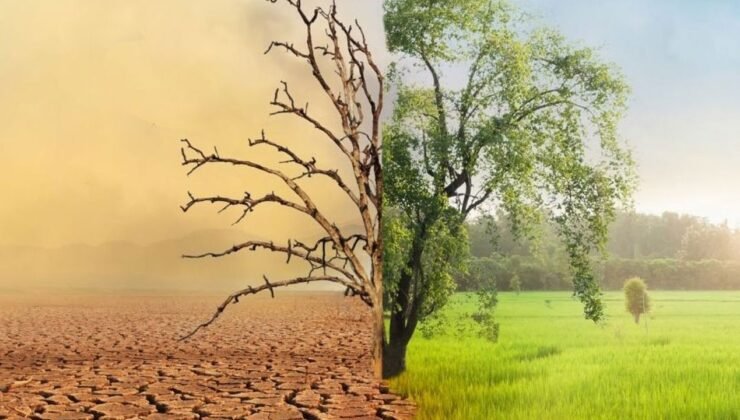 Kıbrıs’ta iklim değişikliği ve taşkınlar konulu seminer düzenleniyor