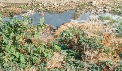 Lefke Ekoloji Derneği'nden uyarı: Gemikonağı Deresi’ne yaklaşık bir aydır foseptik akışı var