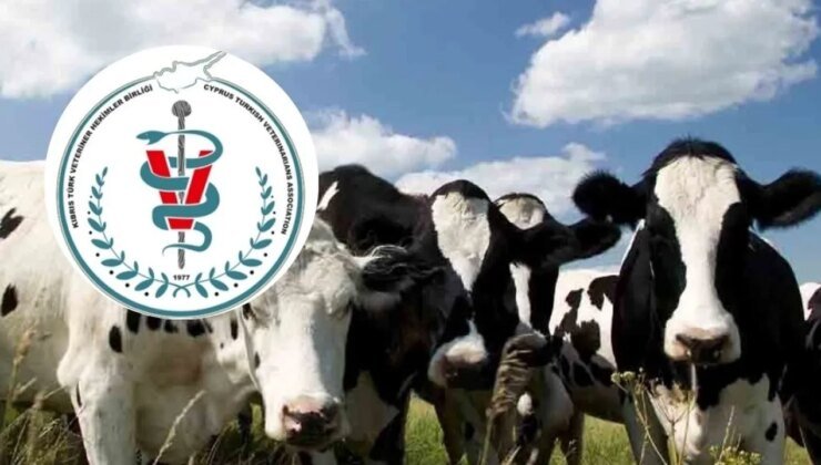 Veteriner Hekimler Birliği: Şap Hastalığı KKTC’de; halkın et ve süt tüketmesinde risk yok