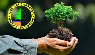 Yeşil Barış Hareketi'nden siyasi partilere çağrı…