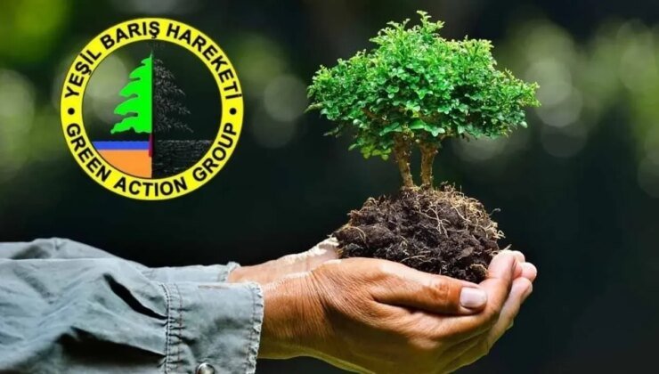 Yeşil Barış Hareketi'nden siyasi partilere çağrı…