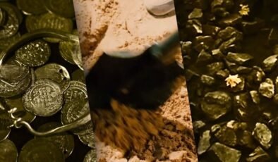 Yüzyıllardır kimselere yar olmayan hazine gün yüzüne çıktı