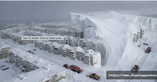 Bina ve araçlar karlarla kaplandı