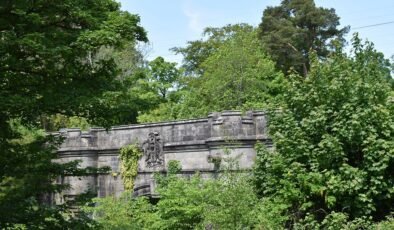 Bu köprüye çıkan köpekler birer birer kayboluyor