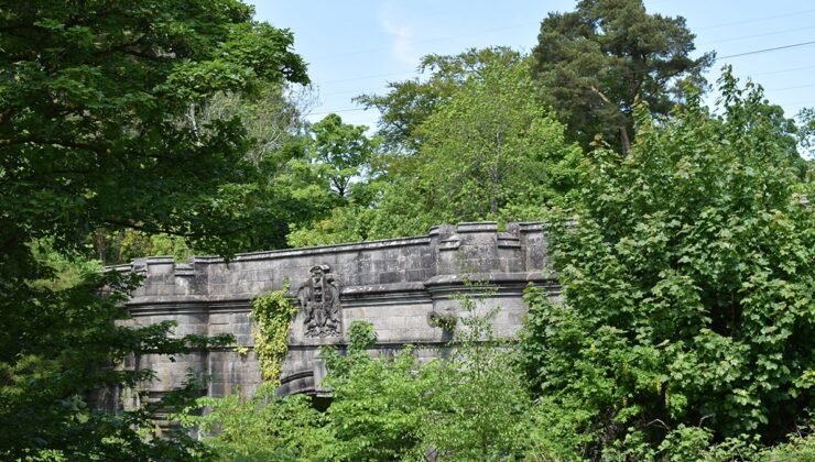 Bu köprüye çıkan köpekler birer birer kayboluyor