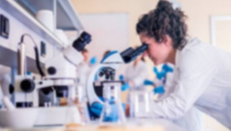 Çilek ve salatalıkta limit üstü bitki koruma ürünü tespit edildi