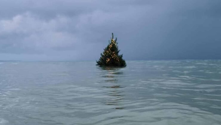 Fırtınalı denizde yüzen Noel Ağacı'nın duygusal hikayesi milyonları büyüledi
