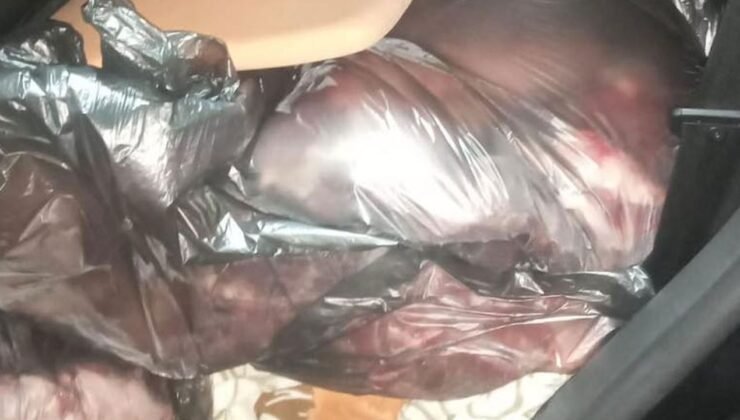 Gazimağusa’da 800 kg kaçak et ele geçirildi