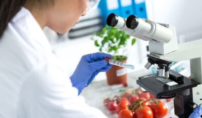 Haftalık gıda denetimleri: Pek çok sebzede kural dışı bitki koruma ürünü