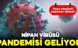 Nipah virüsü pandemisi mi geliyor? Asya seyahati yapanlar dikkat! 45 gün kendinizi izleyin