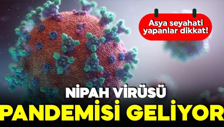 Nipah virüsü pandemisi mi geliyor? Asya seyahati yapanlar dikkat! 45 gün kendinizi izleyin