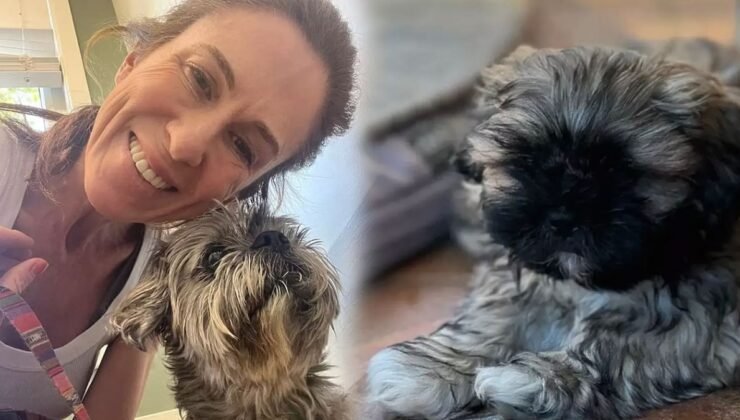 Köpeğinin sonsuza dek yaşaması için klonlattı: 2.1 milyon TL harcasa da umduğunu bulamadı