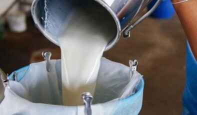 Tarım Bakanlığı, inek, koyun ve keçi sütü alım fiyatları ile devlet desteklerini artırdı