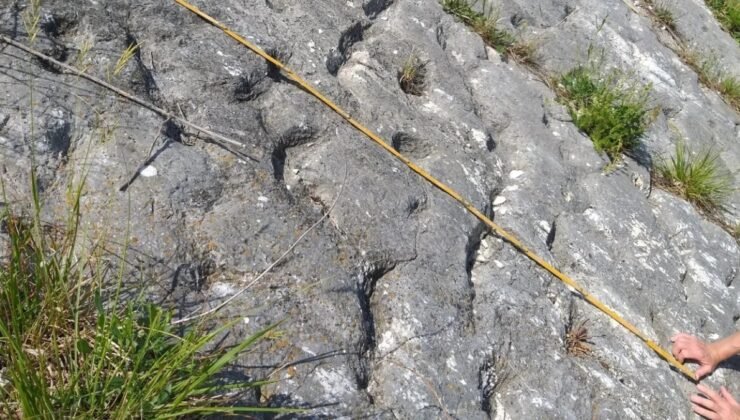 Tesadüfen 80 milyon yıllık tarihi sırrı ortaya çıkardılar