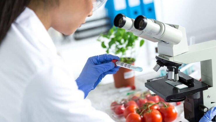 3 üründe limit üstü bitki koruma ürünü tespit edildi