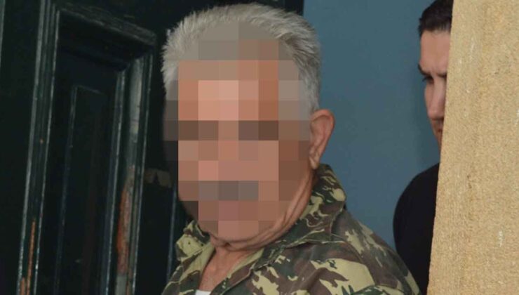 Ayrelli Toplarken Sınırı Geçti, Fişeklerle Yakalandı: Mahkemeden yeni detaylar