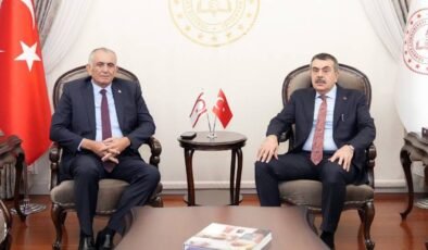 Çavuşoğlu, mevkidaşı Tekin ile bir araya geldi