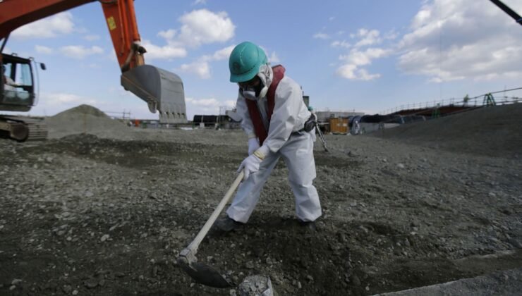 Dünyanın en beklenmedik noktasında yaşam filizlendi