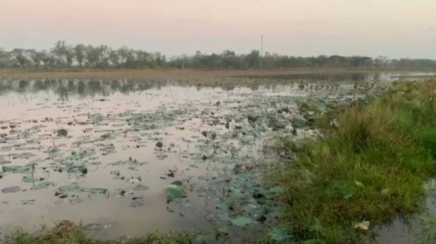 Hayranı olduğu şarkıcı sonu oldu! Pozunu taklit ederken feci şekilde can verdi