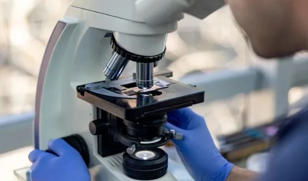 Kuzey İrlanda’da ürperten keşif: Örümcekleri zombiye dönüştürüyor