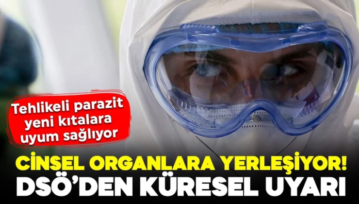 Cinsel organlara yerleşen parazit için DSÖ’den küresel uyarı! Deriden bulaşıyor, yeni kıtalara uyum sağlıyor