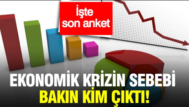 Son anket ortaya çıktı: Ekonomik krizin sebebi bakın kim çıktı