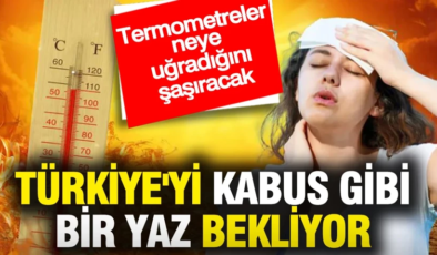 Türkiye’yi kabus gibi bir yaz bekliyor: Termometreler neye uğradığını şaşıracak