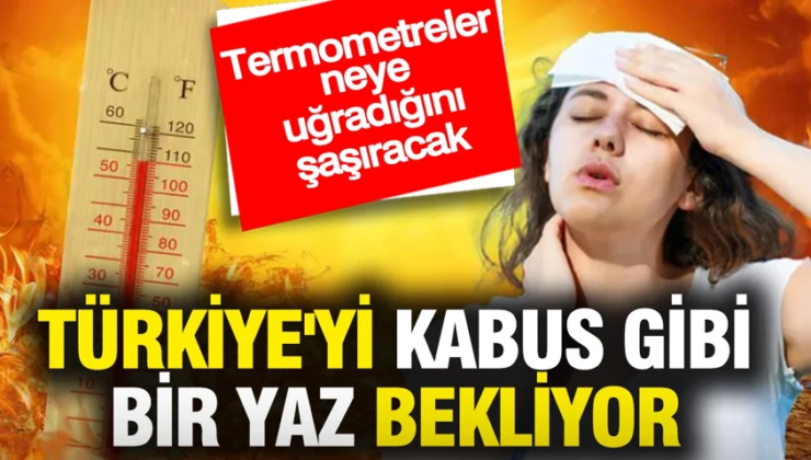 Türkiye’yi kabus gibi bir yaz bekliyor: Termometreler neye uğradığını şaşıracak