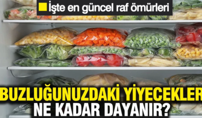 Buzluğunuzdaki yiyecekler ne kadar dayanır? İşte en güncel raf ömürleri