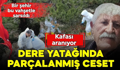 Çorum’da tüyler ürperten cinayet! Cesedi parçalara ayırıp poşetlemişler!