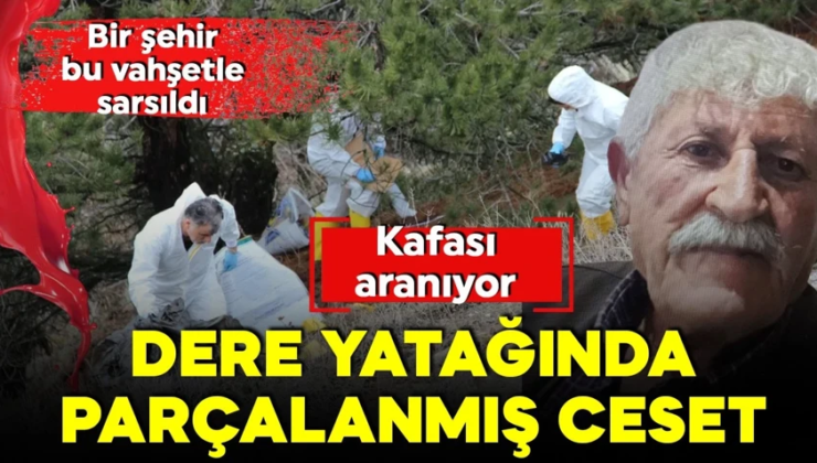 Çorum’da tüyler ürperten cinayet! Cesedi parçalara ayırıp poşetlemişler!