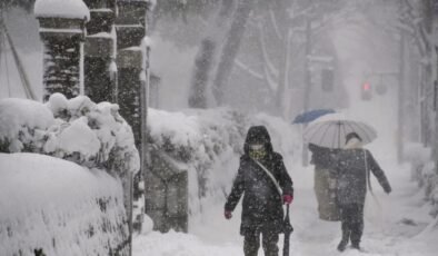 Japonya'da şiddetli kış şartlarından kaynaklanan can kayıplarının sayısı 46'ya yükseldi