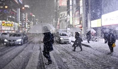 Japonya'da aşırı kar yağışı 35 can aldı