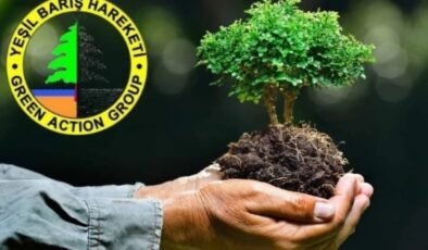 Konseyden onay çıktı