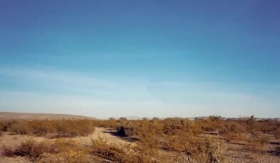 Oraya girenin dünyayla bağlantısı kopuyor