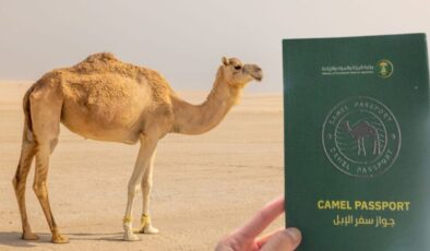 Suudi Arabistan develere kimlik verecek