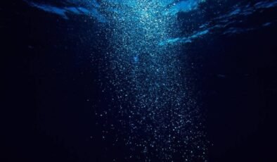 Suyun derinliklerinde merak uyandıran ses: Bir ilk