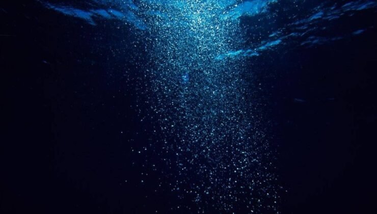 Suyun derinliklerinde merak uyandıran ses: Bir ilk