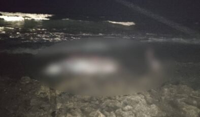 Tatlısu’da 5 metre uzunluğundaki erkek gagalı balina karaya vurdu