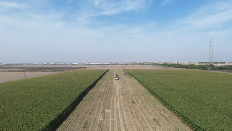 Üreticilere 27 Şubat’a Kadar Beyan Uyarısı