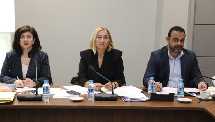 Hukuk, Siyasi İşler, Dışilişkiler ve Savunma Komitesi toplandı