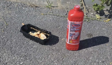 Ekmek parçasına tuz ruhu dökülerek köpeklerin zehirlenmek istediği iddia edildi