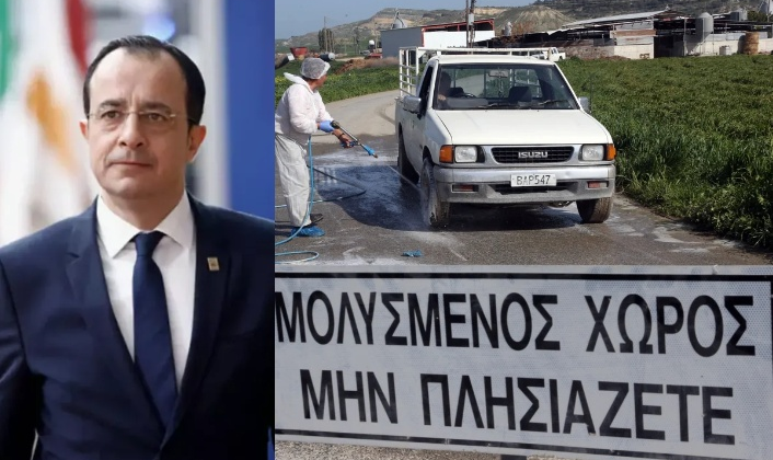 Güney’de şap hastalığı nedeniyle 30 bin hayvan itlaf edildi