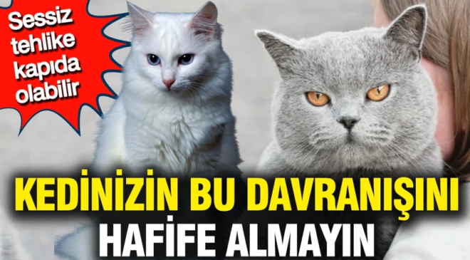 Kedinizin bu davranışını hafife almayın: Sessiz tehlike kapıda olabilir