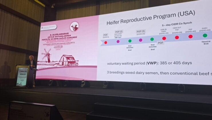 Çavuş: Bilimsel çalışmalar ve yenilikçi yaklaşımlar hayvancılık sektörünün geleceği için yol gösterici