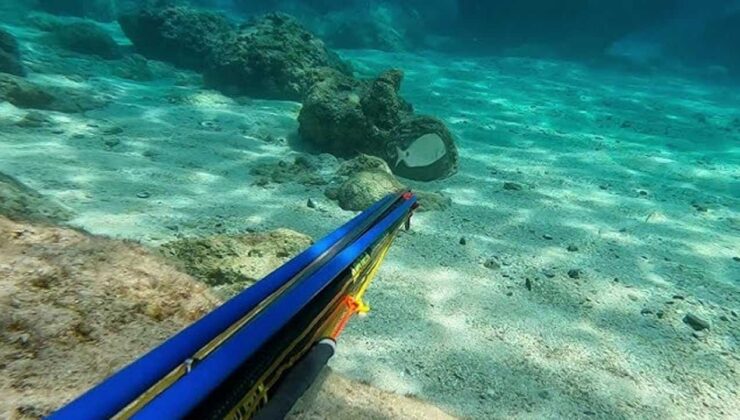 Gece Avına Suçüstü: Zıpkınla Kaçak Avlanan Şahıs Tutuklandı