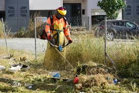 Yaz ayları öncesi Lefkoşa genelinde kapsamlı temizlik başladı