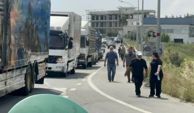 Güney’de Şap hastalığı nedeniyle Yollar kapandı, bir eylemci Adalet bakanına bebeğini uzattı