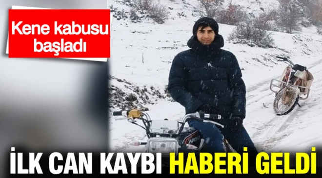 Türkiye’de ‘Kene kabusu’ başladı: İlk can kaybında 21 yaşındaki genç hayatını kaybetti